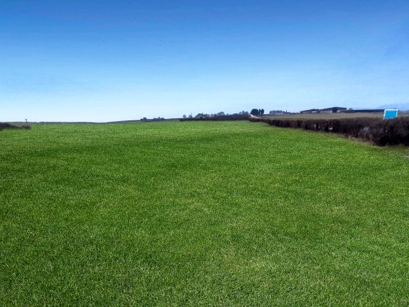 Img 20250213 wa0017 002 (1)